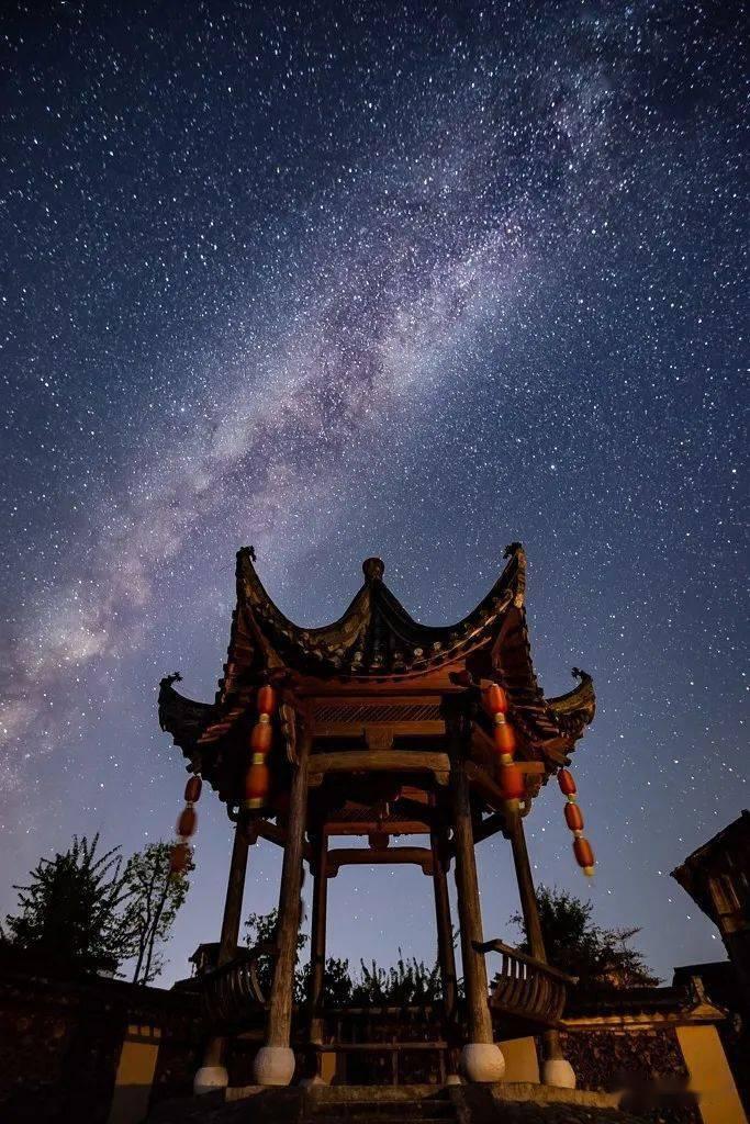 单身狗大作战