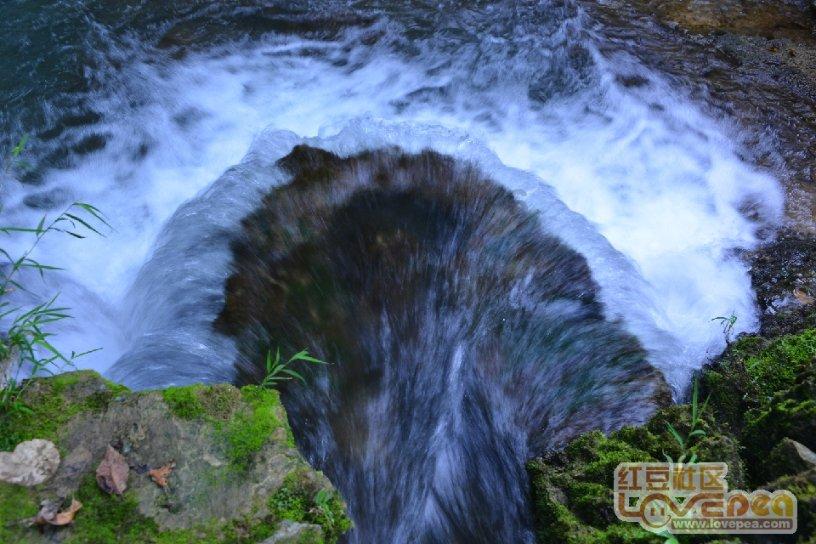 中央组织部、共青团中央第24批博士服务团来青服务锻炼