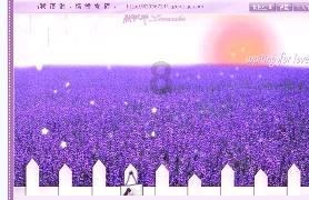 赛马娘数据连携之后之前的号游戏画面