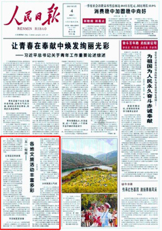 特种突击聪明的顺溜