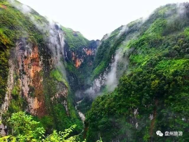 让你秒变美缝大师！压缝收口不再难！