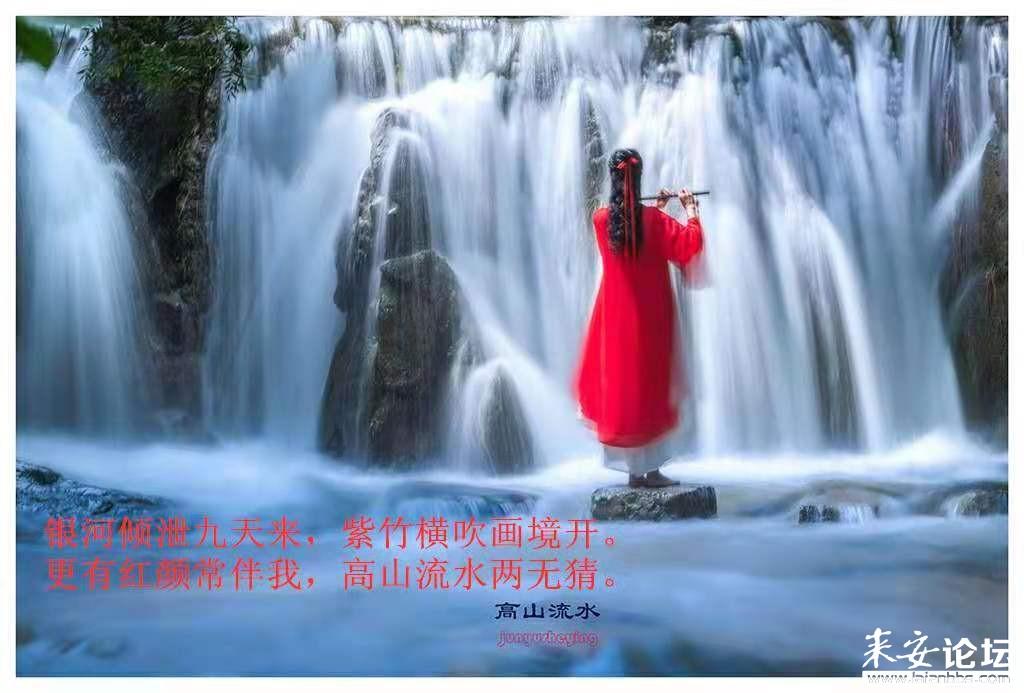 周星驰赶不上，成龙不来了，刘德华变成独苗，港片把春节档丢了