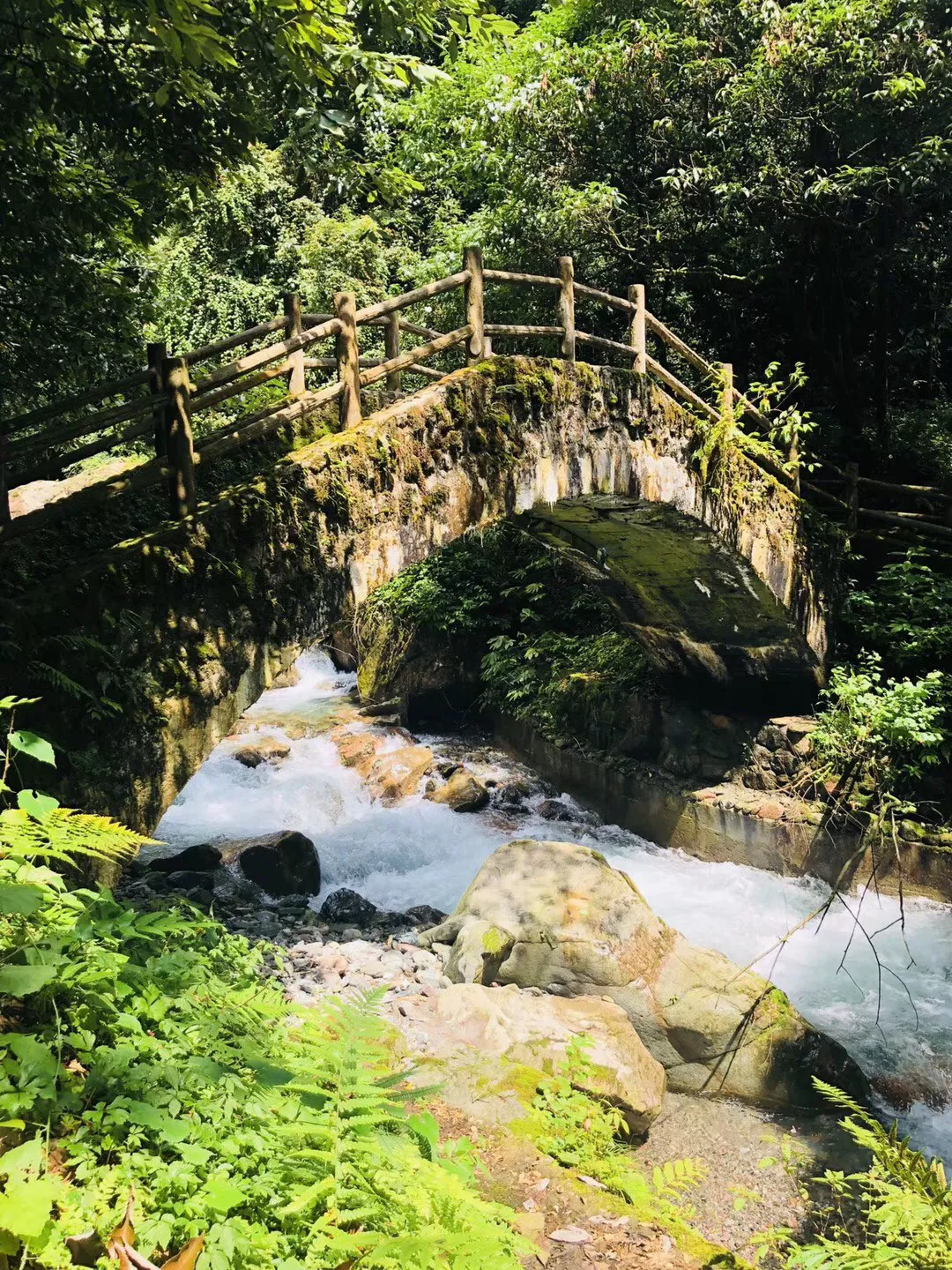 何忠友在市纪委十二届四次全会上强调 发扬彻底的自我革命精神 坚定不移深化正风肃纪反腐 为在中国式现代化进程中更好建设美丽新疆作出乌鲁木齐贡献提供坚强保障
